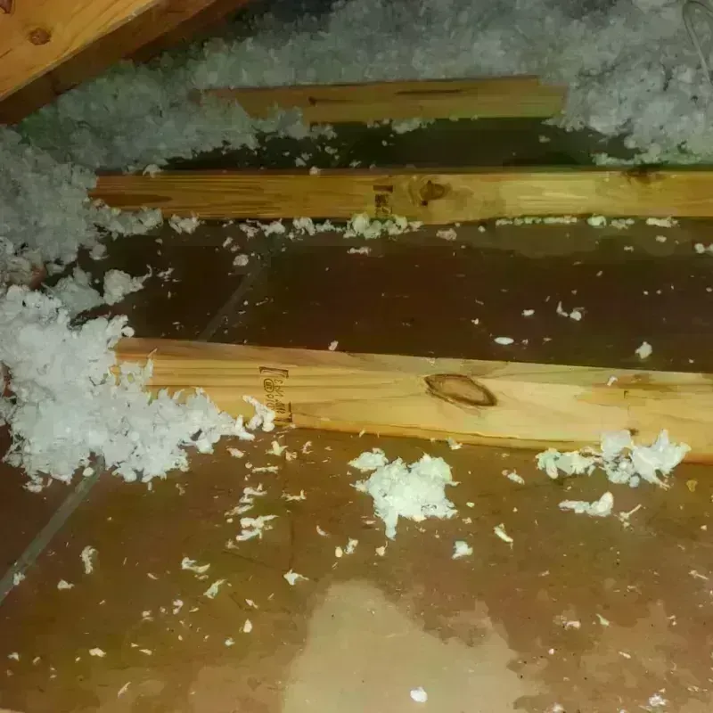 Attic Water Damage in Homeland, CA