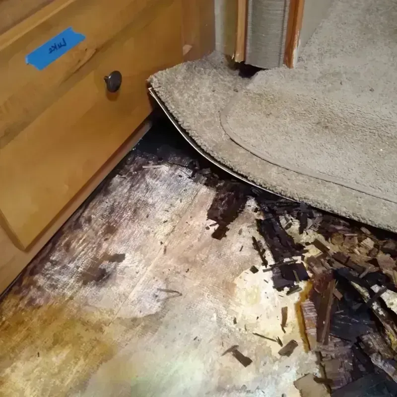 Wood Floor Water Damage in Homeland, CA